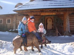 Rok szkolny 2016 /2017